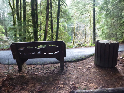 Wooden bench overlooking Salmon River – paved trail transitions to soft surface under bench – lip – garbage can